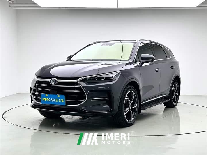 BYD Tangxin Energy DM-i 112KM Honor Type