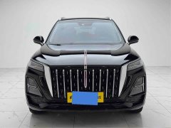 FAW Red Flag HS5 2025 2.0T Two-Wheel Drive Flagship Enjoy Pro - ფოტო 2