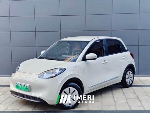 2023 Wuling 333km - ავტომობილი ჩინეთიდან