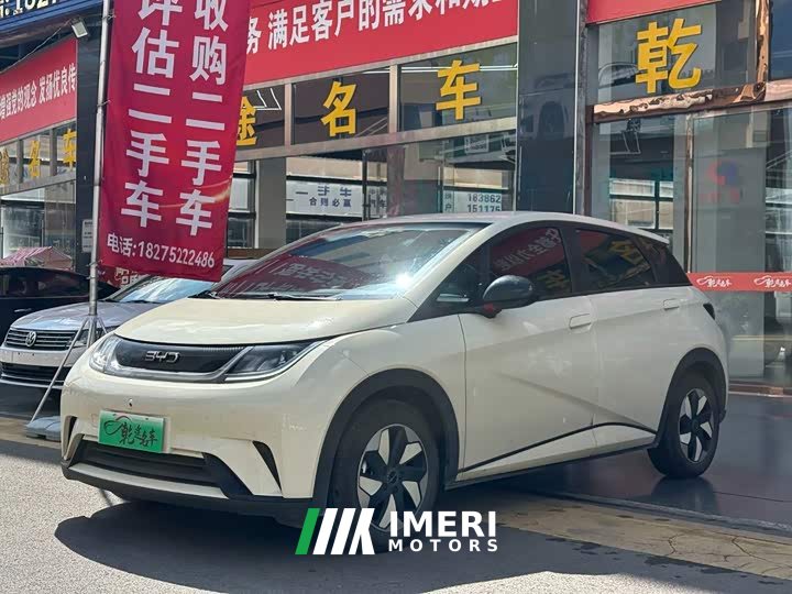BYD Dolphin 420km Free Edition