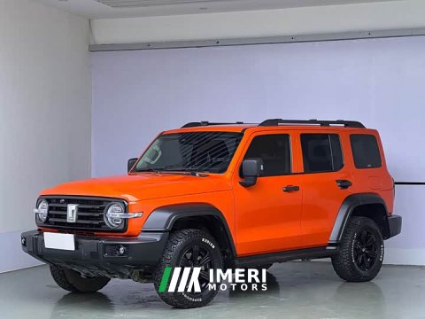2021 Tank 300 Off-Road Edition 2.0T Conqueror - ავტომობილი ჩინეთიდან