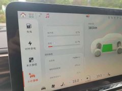 smart #1 2022 Pulse Heartbeat Edition - ფოტო 9