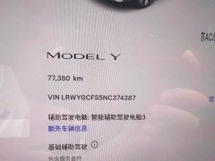 Tesla Model Y Edition - ფოტო 12