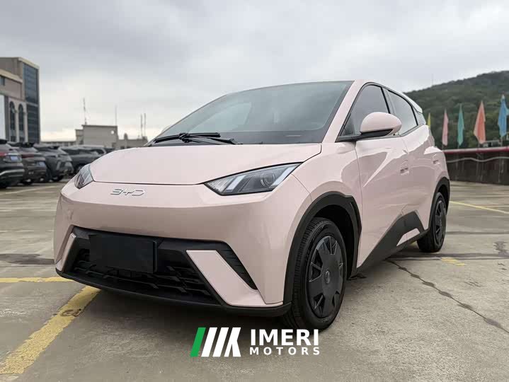 BYD Seagull Honor Edition 305km Vitality Edition