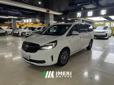 2021 Buick GL8 Land Business Class 652T Premium - ავტომობილი ჩინეთიდან