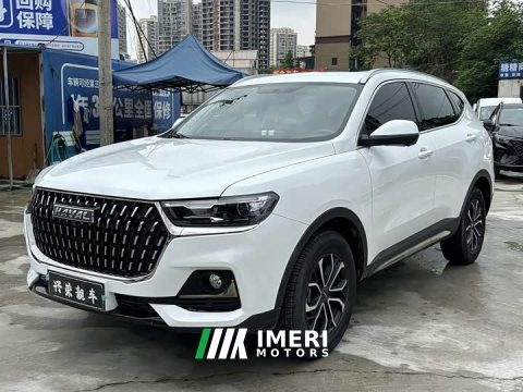 2024 Haval H6 2023 National Trend Edition 1.5T Automatic Urban Version - ავტომობილი ჩინეთიდან