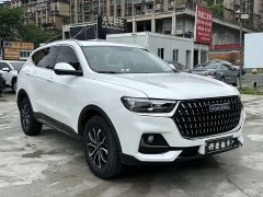 Haval H6 2023 National Trend Edition 1.5T Automatic Urban Version - ფოტო 3