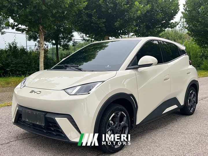 BYD Seagull Honor Edition 405km Flying Edition