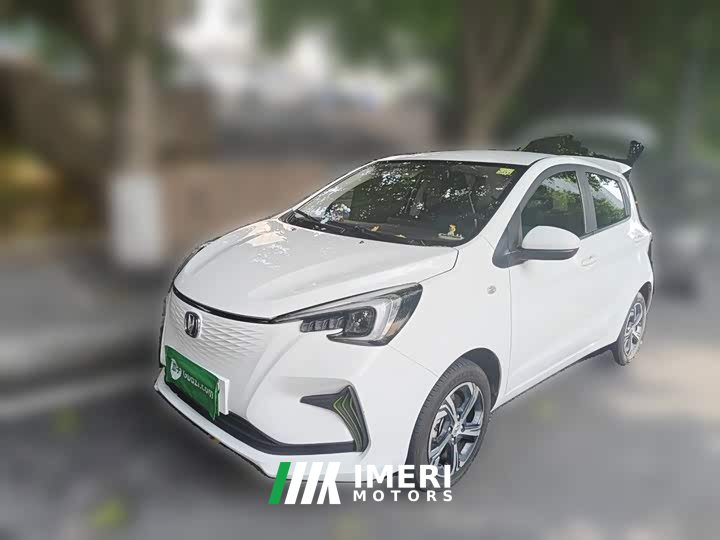 Changan Benben E-Star 2020 Xinyue Edition Lithium Iron Phosphate (31.18kWh)