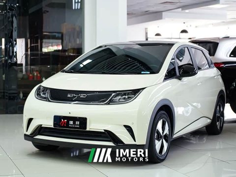 2023 BYD Dolphin 420km Fashion Edition - ავტომობილი ჩინეთიდან