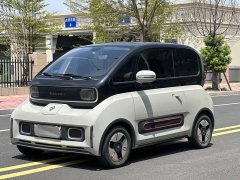 Baojun KiWi EV 2021 Artist LFP - ფოტო 1