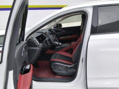 FAW Red Flag HS3 2023 1.5T Two-Wheel Drive Goodwill Edition - ფოტო 9