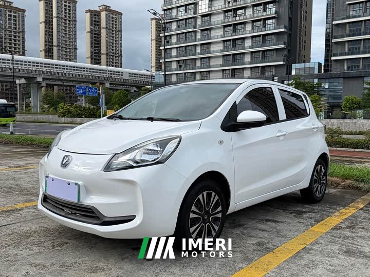 Changan Benben E-Star National Edition Xinyue Edition Lithium Iron Phosphate (31.86kWh)