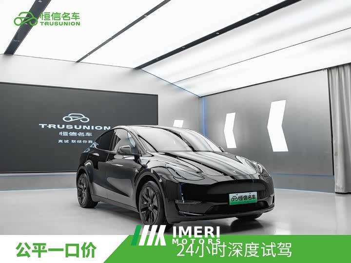 Tesla Model Y Long Range All-Wheel Drive 3D7