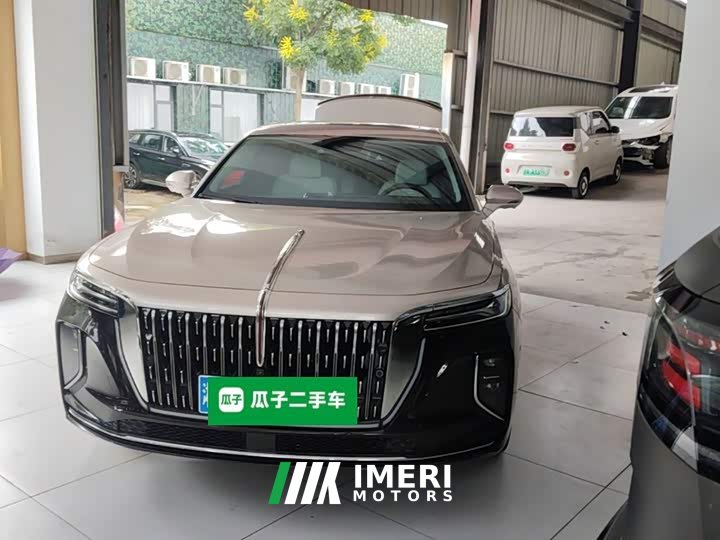 Hongqi H9 2.0T 2WDLuxuryBusiness Edition 5