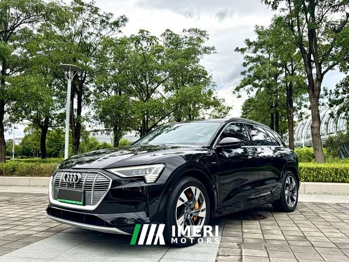 Audi e-tron 55 quattro Version