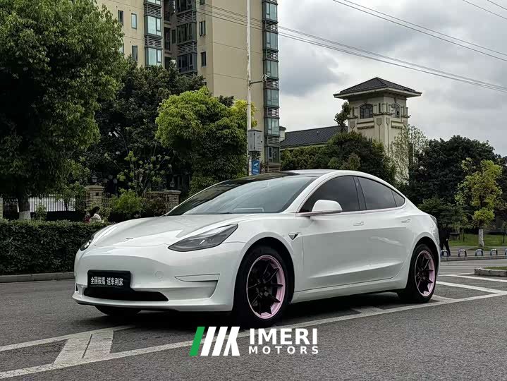 Tesla Model 3 Standard Range Edition 3D1