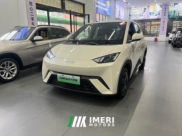 BYD Seagull Honor Edition 305km Vitality Edition