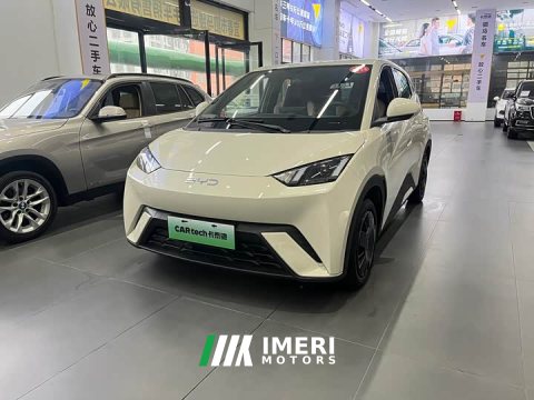 2024 BYD Edition 305km Edition - ავტომობილი ჩინეთიდან