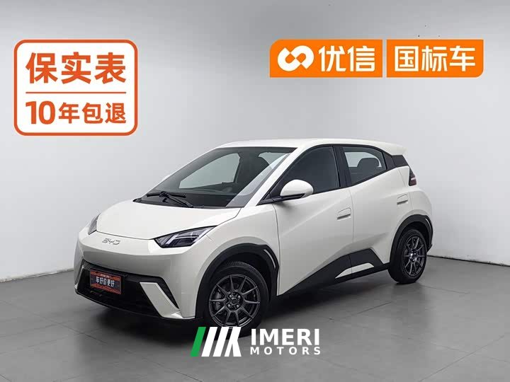 BYD 305km Edition