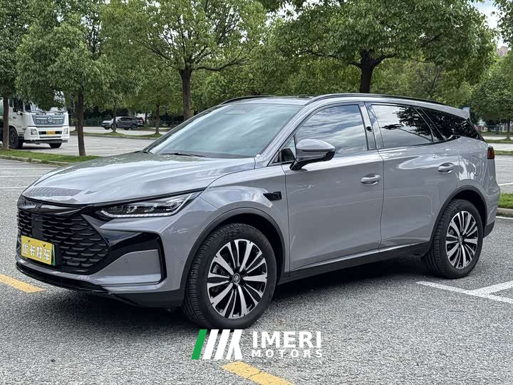 BYD Smart Drive Edition DM-i 175KM Flagship Version
