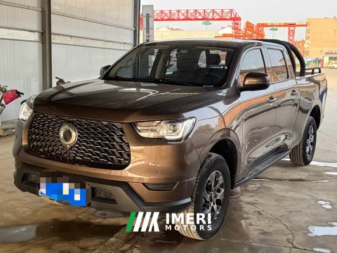2023 2.0T Edition2WD VersionGW4D20M - ავტომობილი ჩინეთიდან