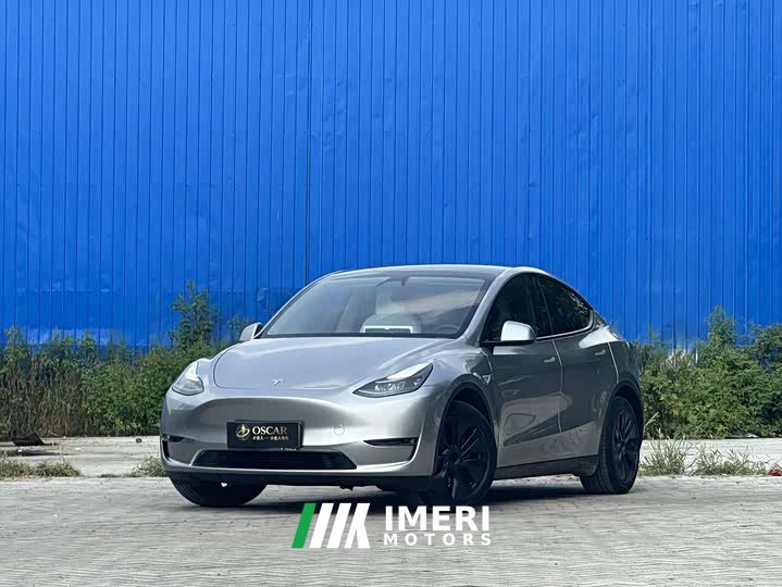 Tesla Model Y Long Range Edition