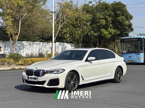 2022 5 2022 Model 530Li Version M - ავტომობილი ჩინეთიდან