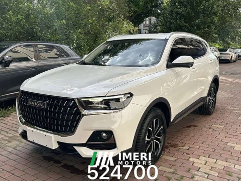 2023 H6 2023 Model Edition 1.5T Edition - ავტომობილი ჩინეთიდან