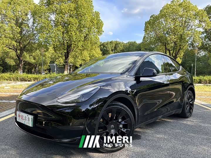 Tesla Model Y Long Range Edition