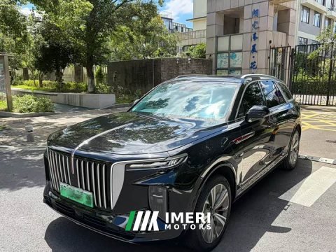 2021 E-HS9 2021 Model 460km Edition - ავტომობილი ჩინეთიდან