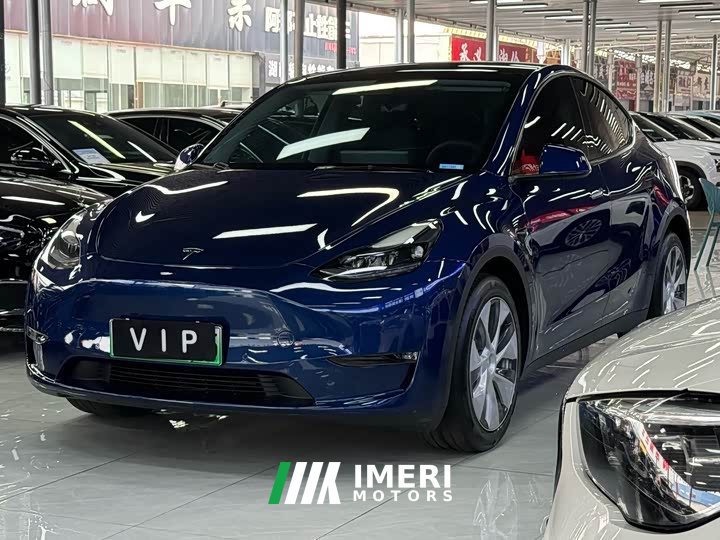 Tesla Model Y Long Range Edition