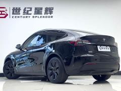 Tesla Model Y Rear-Wheel Drive - ფოტო 10
