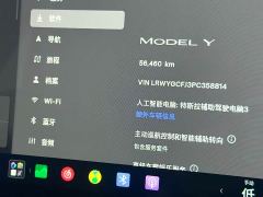 Tesla Model Y Rear-Wheel Drive - ფოტო 20