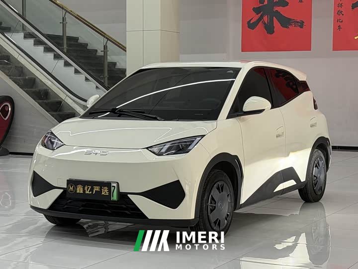 BYD Smart Drive Edition 305km Edition