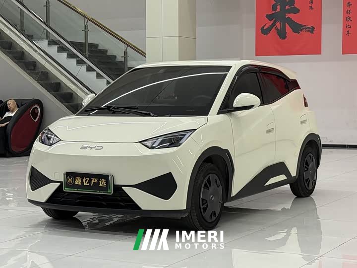 BYD Smart Drive Edition 305km Edition