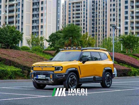 2025 G318 2025 Model Edition AWD Edition - car from China