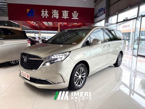2022 GL8 2022 Model ES 653T Deluxe Version - ავტომობილი ჩინეთიდან