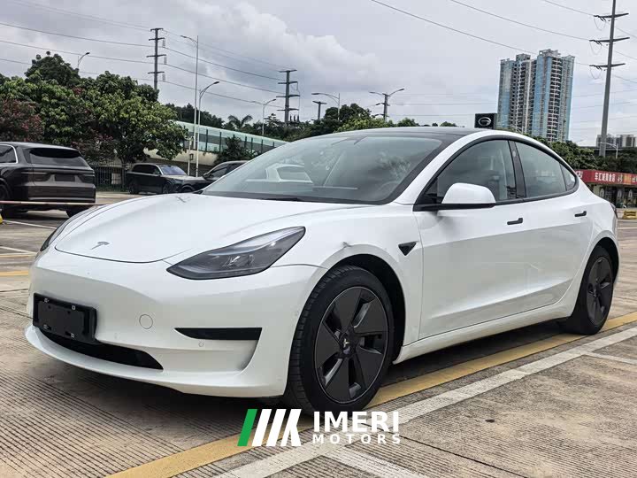 Tesla Model 3 Standard Range Edition 3D1