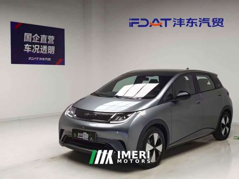 2023 Model 420km Fashion Edition - ავტომობილი ჩინეთიდან