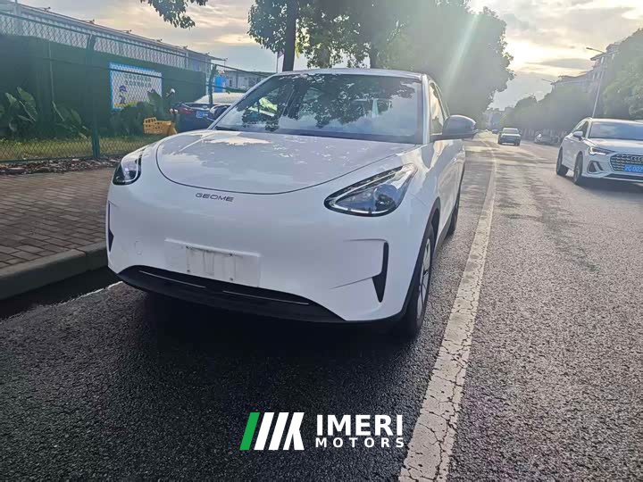 Ls6 310km Edition