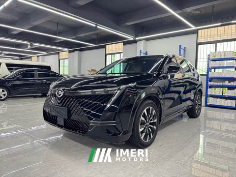 2023 2022 Model 1.5T Pro Edition - ავტომობილი ჩინეთიდან