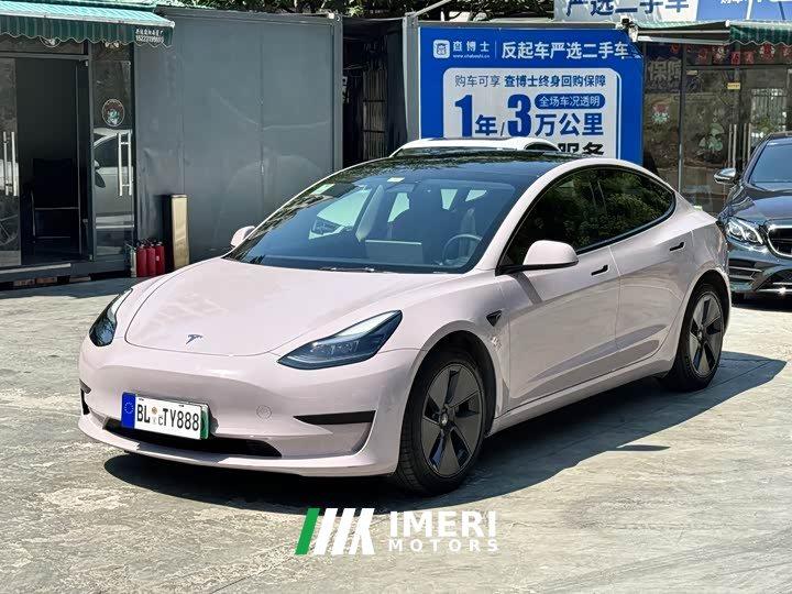 Tesla Model 3 Standard Range Edition 3D6
