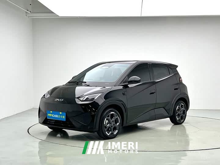 BYD Smart Drive Edition 305km Edition