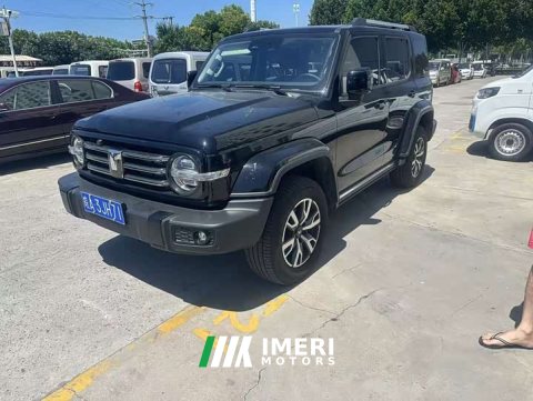 2024 Tank 300 2.0T - ავტომობილი ჩინეთიდან