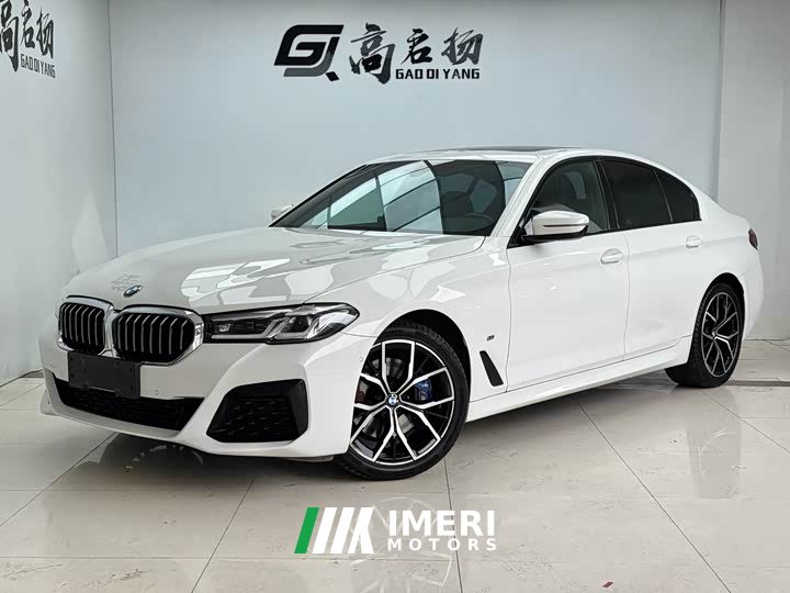 BMW 5 530i M