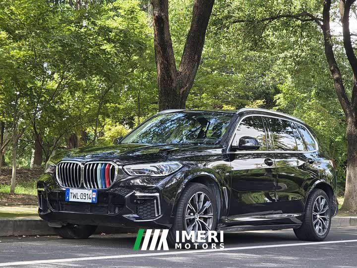 BMW X5 xDrive 30Li Deluxe VersionM