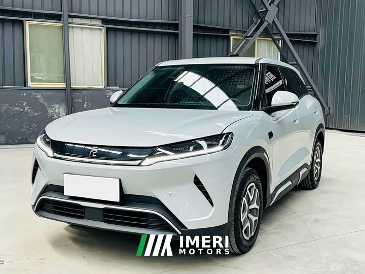 BYD UP Smart Drive Edition 401KM Edition
