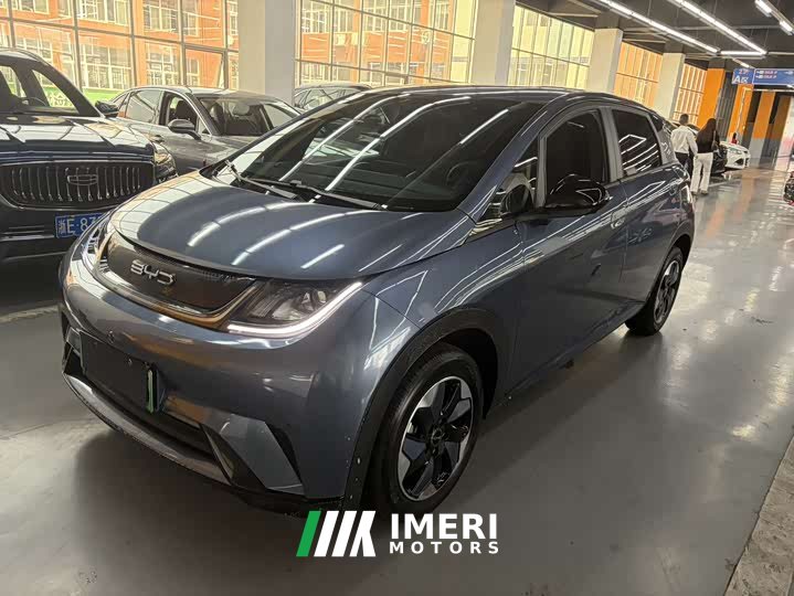 BYD Dolphin 420km Free Edition