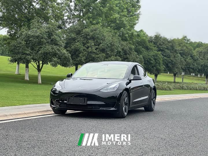 Tesla Model 3 Standard Range Edition 3D1